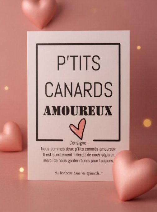 CARTE P'TITS CANARDS AMOUREUX + 2 FIGURINES CANARDS - S30 
