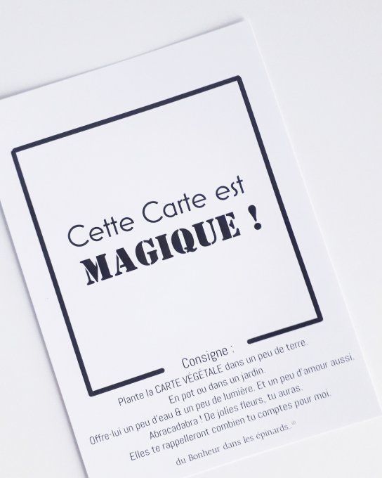 CARTE MAGIQUE A PLANTER - AVOIR UNE AMIE - N06