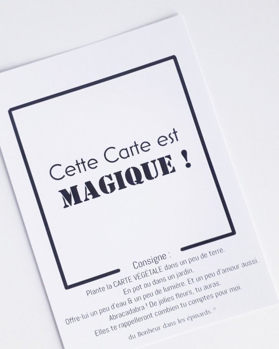 CARTE MAGIQUE A PLANTER - MAMAN - MESSAGE AU CHOIX - 