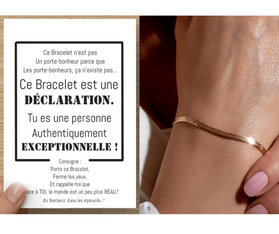 CARTE PERSONNE EXCEPTIONNELLE + 1 BRACELET SERPENTINE - R44 