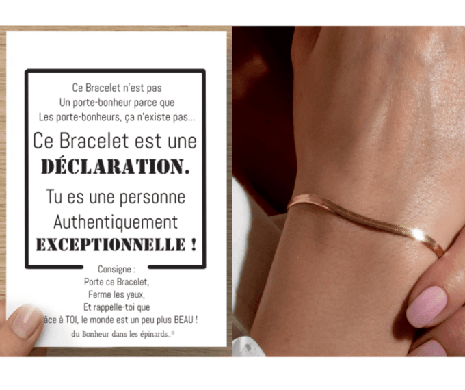 CARTE PERSONNE EXCEPTIONNELLE + 1 BRACELET SERPENTINE - R44