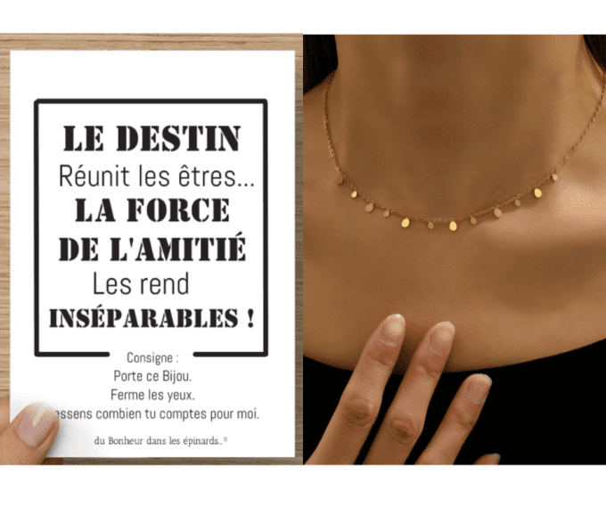 CARTE LE DESTIN REUNIT LES ETRES + 1 COLLIER PAMPILLES - S13 