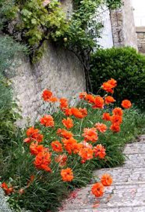CARTE MAGIQUE A PLANTER - AVEC UN GRAND AIME - N16