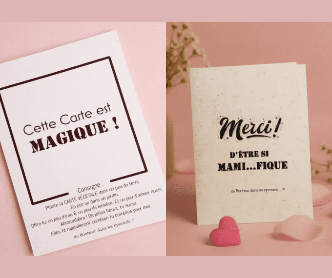 CARTE MAGIQUE A PLANTER - MAMI...FIQUE - N17