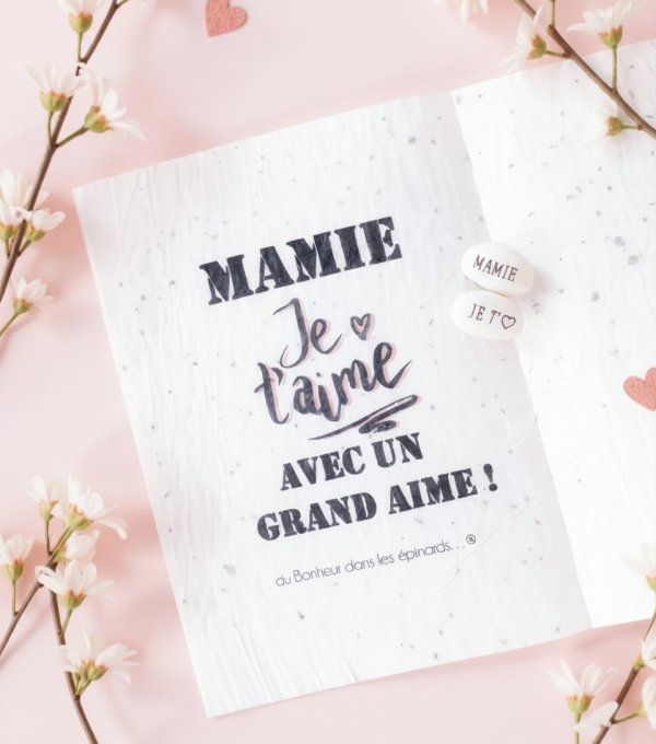 DUO MAGIQUE CARTE A PLANTER + GRAINE  A PLANTER - F23