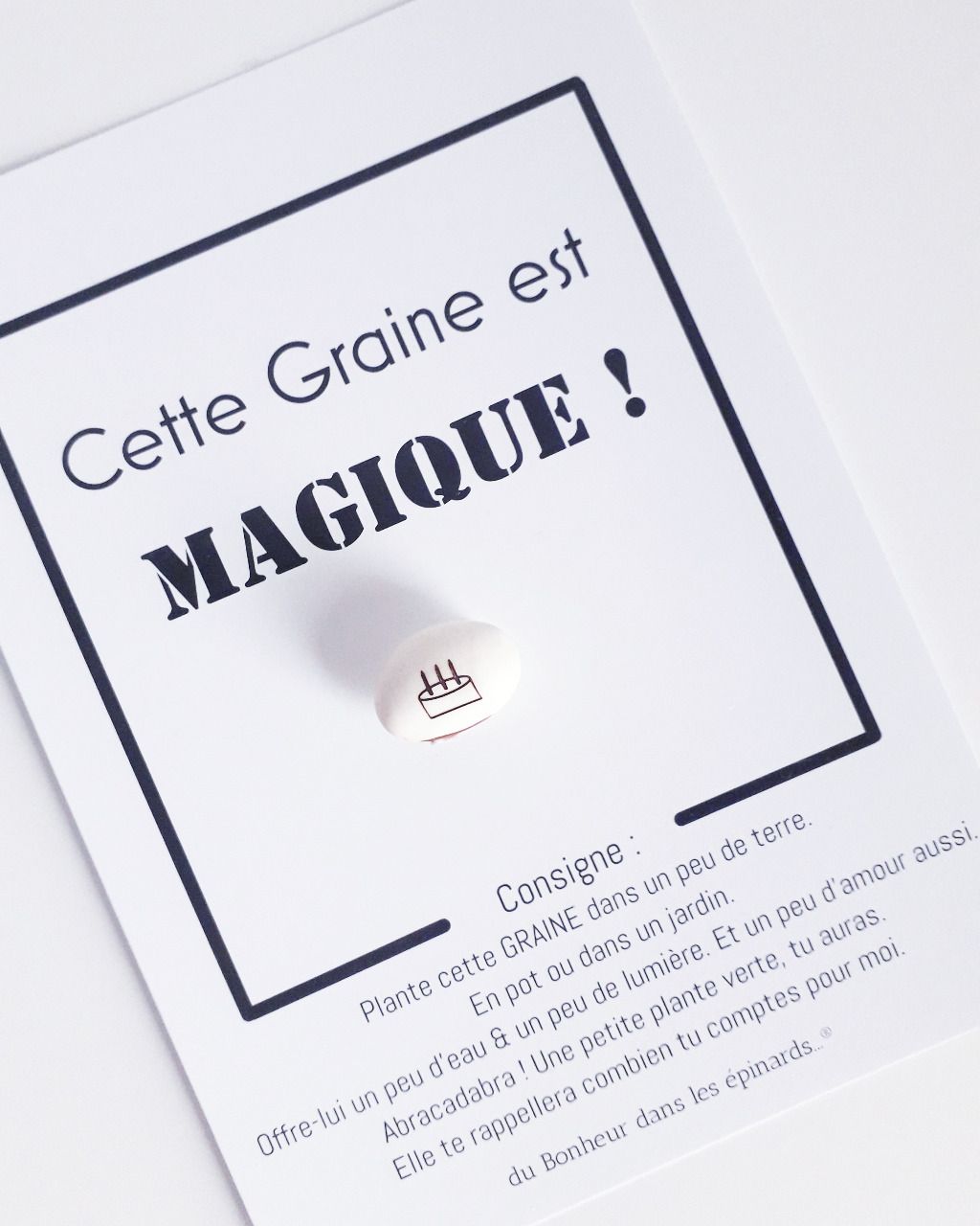 GRAINE D'ANNIVERSAIRE MAGIQUE - N03