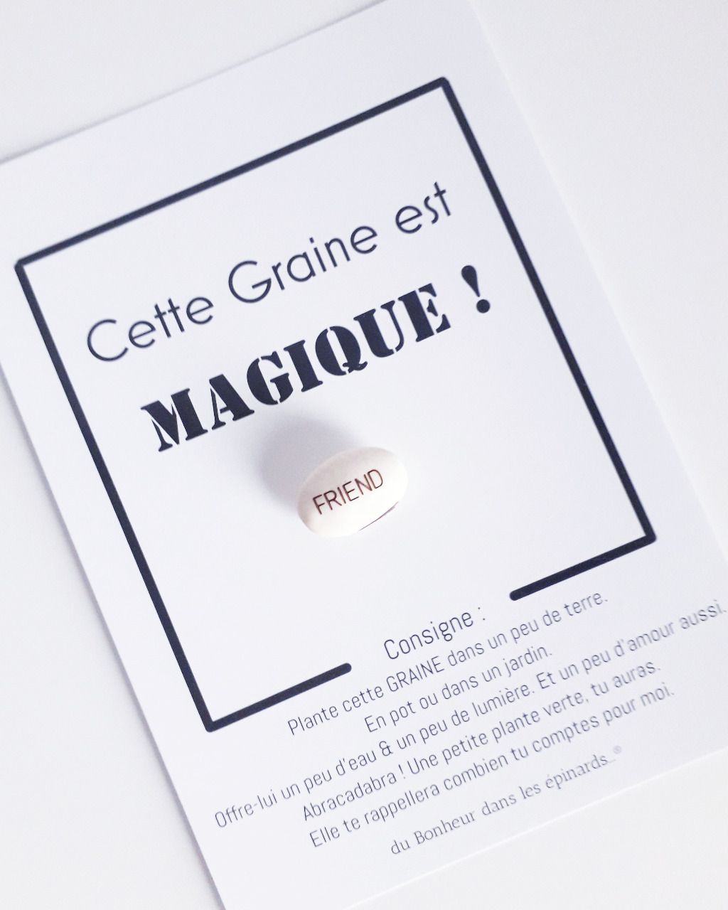GRAINE D'AMITIE MAGIQUE - N03 