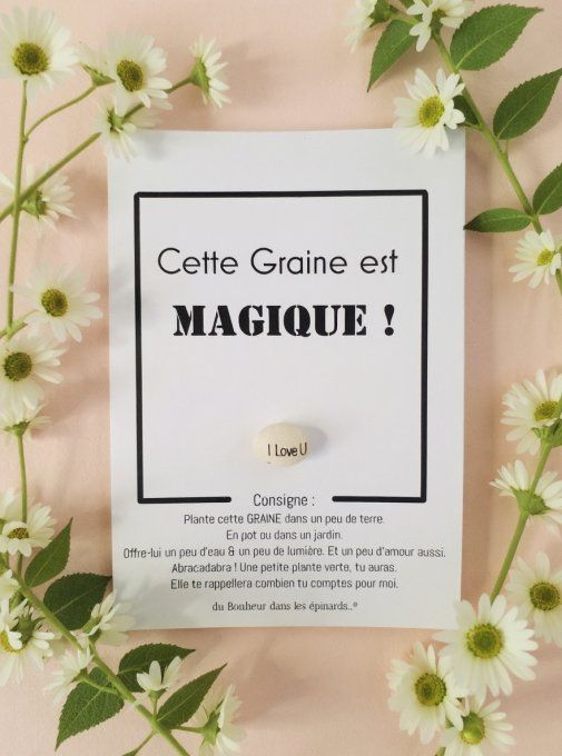 GRAINE D'AMOUR MAGIQUE - N03