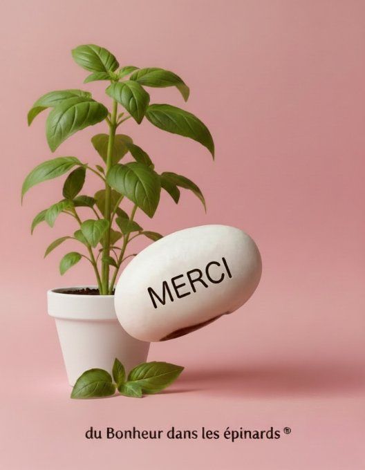 COFFRET GRAINE DE REMERCIEMENT MAGIQUE
