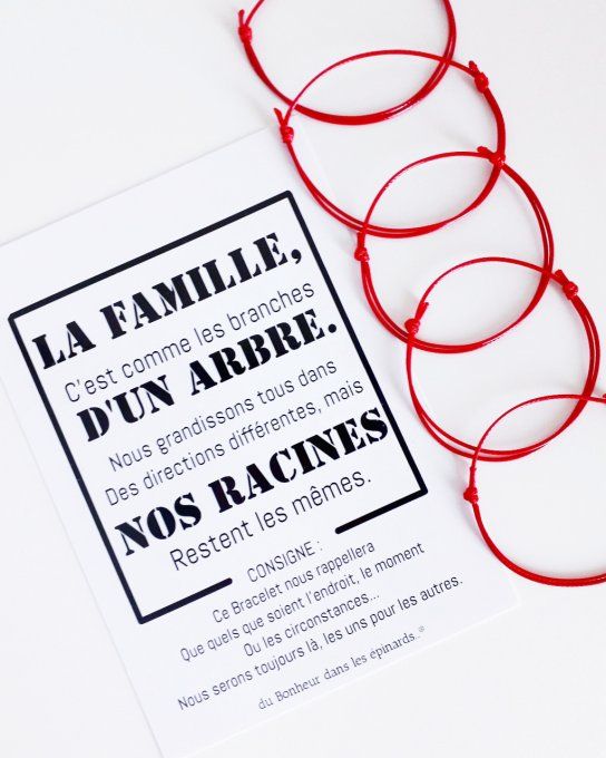 CARTE LA FAMILLE + 2 à 10 BRACELETS PERMANENTS - F36