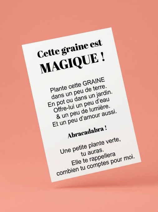 GRAINE MAGIQUE - PAPA QUE J'AIME